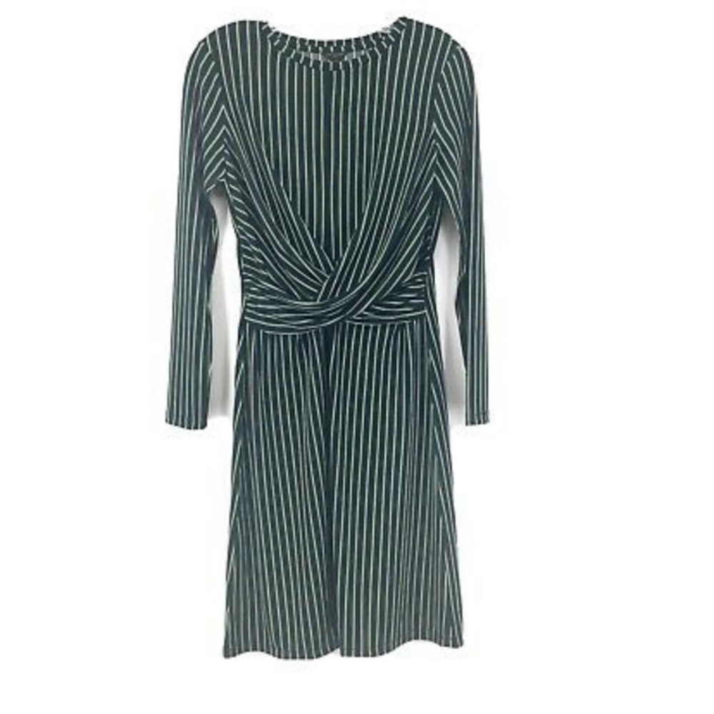 NWOT Ann Taylor Petite Dress